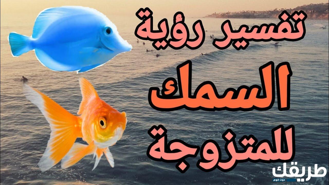 تفسير حلم حوض الأسماك للمتزوجة والعزباء ابن سيرين 5 790538370484627
